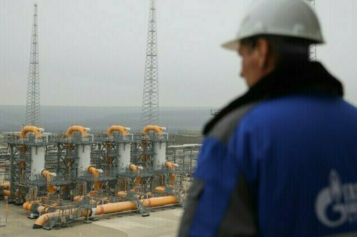 Kiev knowingly buying Russian gas  Ukrainian MP