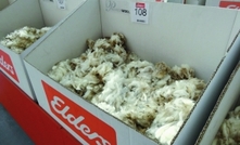 What makes wool buyers buy which fleece?