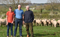Sheep special: Charollais breed continues to prove its worth, providing a bright future for the next generation
