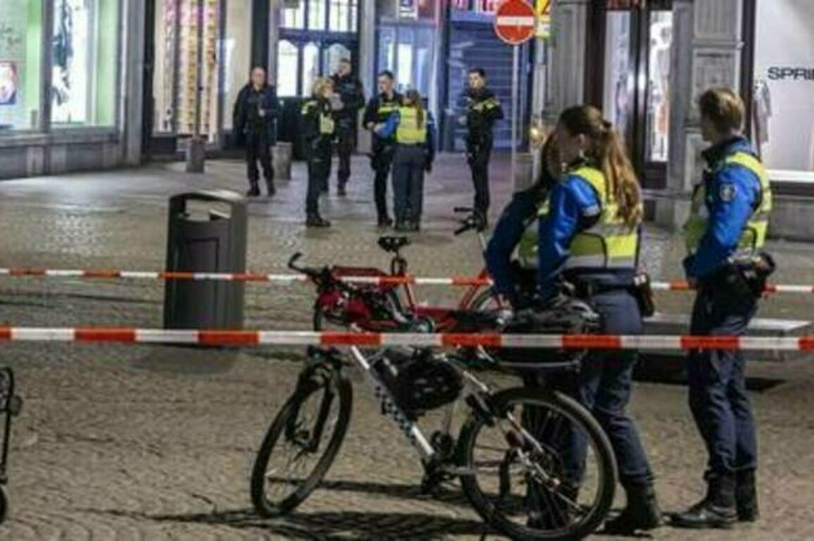 Ukrainian vet behind Dutch knife spree wanted life sentence - media