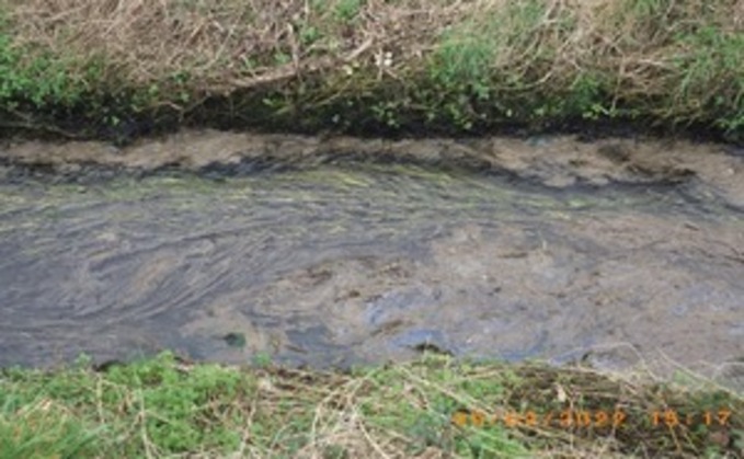 The Environment Agency said sewage fungal growth had been noted on the entire length of the small brook, a stretch of over 800m, from a leaking silage clamp
