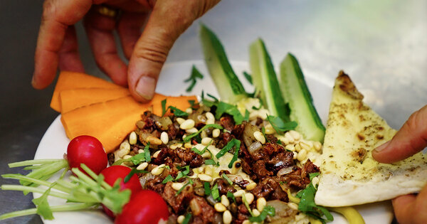 'Bugs are banging': Yum Bug to debut first pop-up restaurant - Vimarsana News