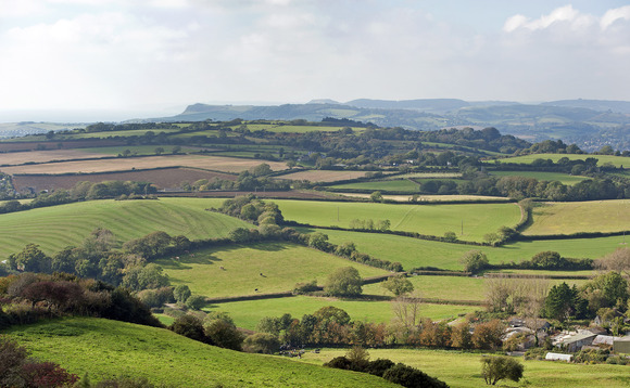 OPINION: "Is the Land Use Framework another threat to the viability of English farms?"