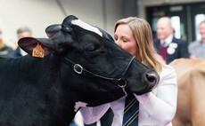 Mag Pandor takes the crown once again at Borderway UK Dairy Expo  