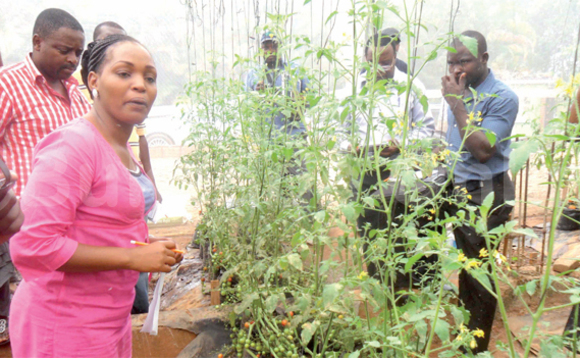 Emma Wangiri ku kkono ng'asomesa abalimi ku nnima ey'omulembe Emma Wangiri ku kkono ng'asomesa abalimi ku nnima ey'omulembe