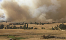 Livestock producers are urged to plan early for fire preparation. Image courtesy DELWP Hume Region.