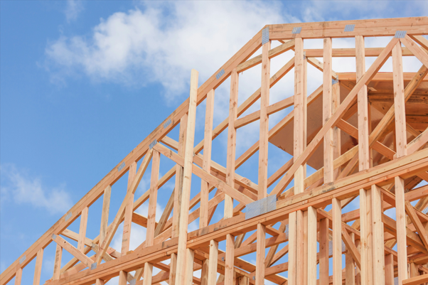 The benefits of choosing timber in building