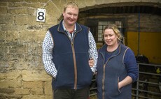 Organic system works well for Gloucestershire dairy farm