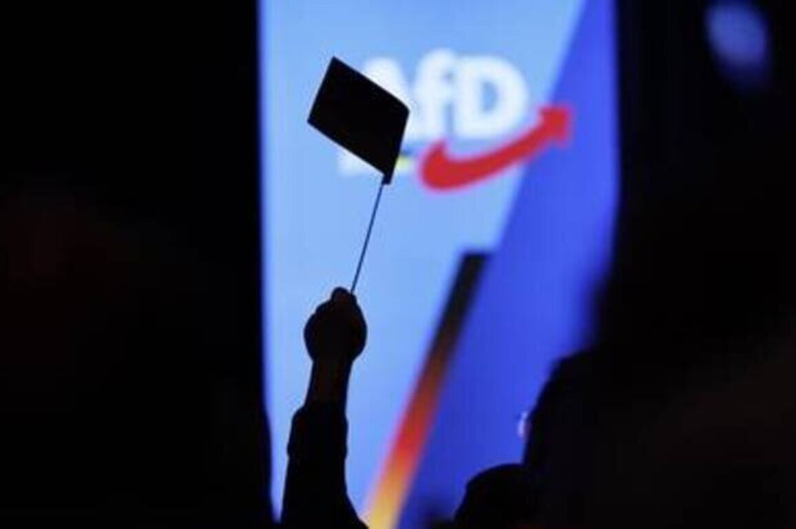 German court blocks move to brand AfD 'extremist'