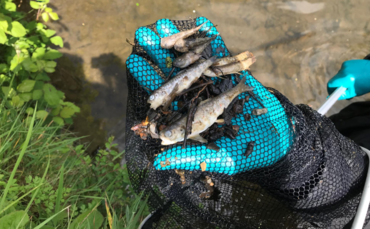 Farmer fined after digestate spill kills one thousand fish