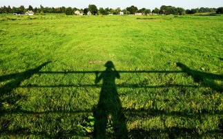 New farming society aims to support those out of Young Farmers' Club age range 
