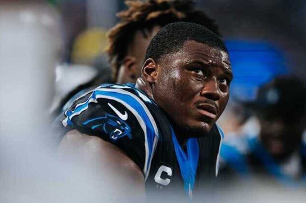 Panthers offseason positional review: Defensive line