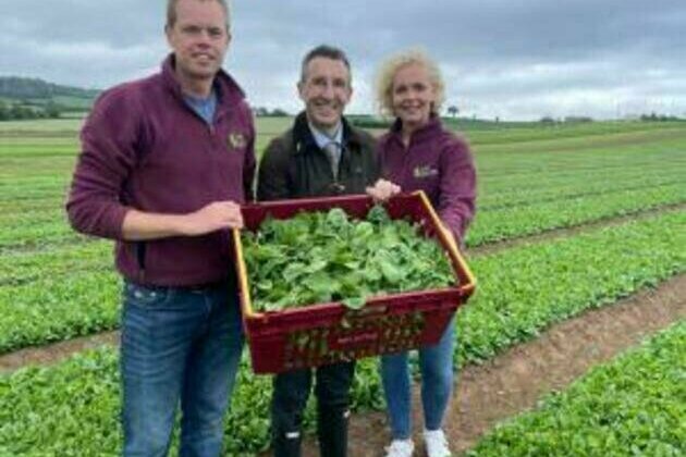 Horticulture vital to NI's agri-food sector
