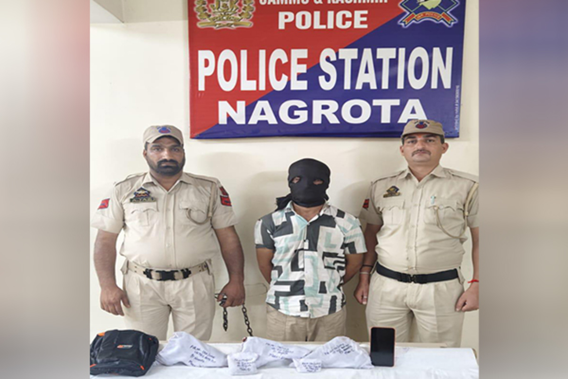 J-K: Terror associate held at Nagrota, three pistols and ammunition recovered