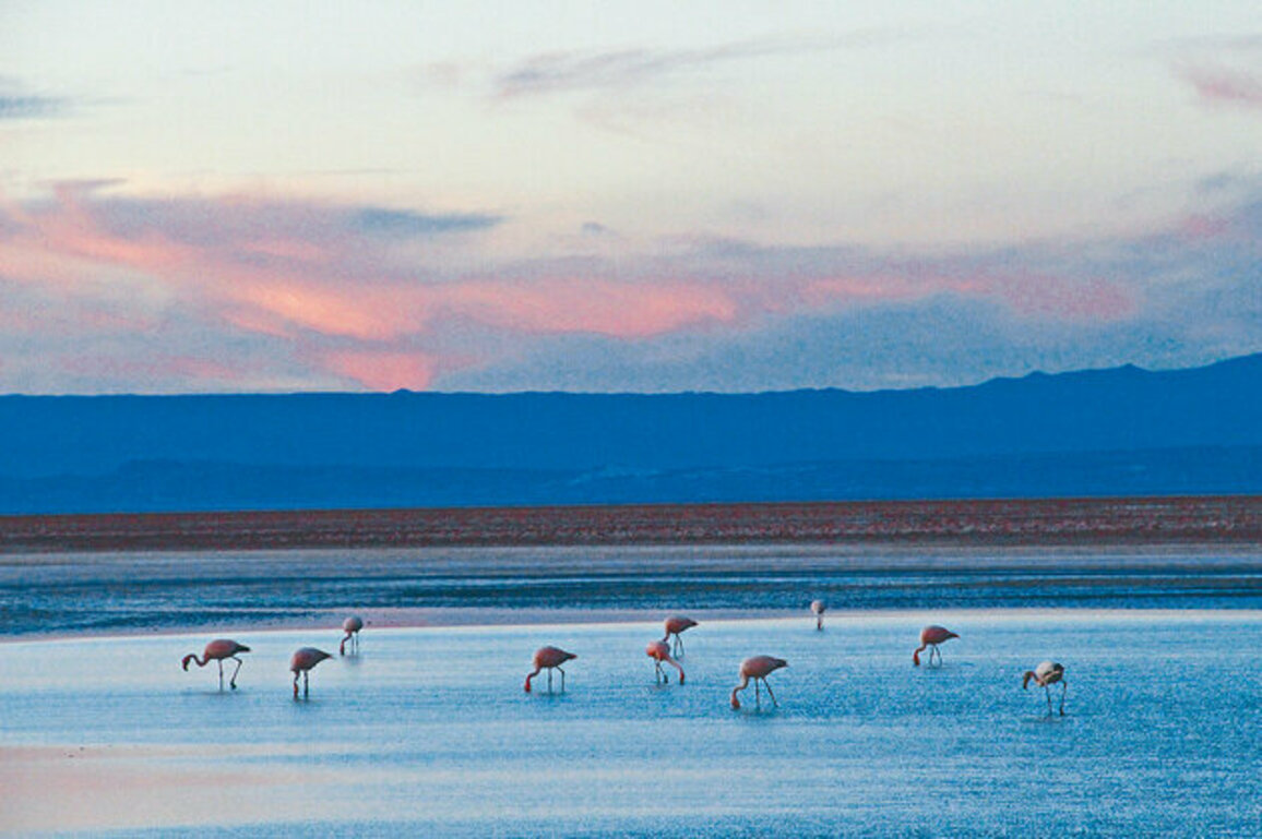 Walking among the clouds in Chile and China's salt lakes