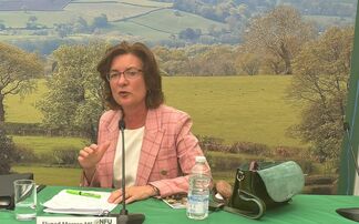 Royal Welsh Show: Welsh First Minister says 'farming is fundamental to who we are as a nation'