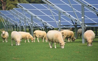 UFU 'frustrated' with government plans for renewable electricity scheme