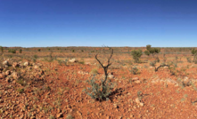 Gold country in the Pilbara region, Western Australia