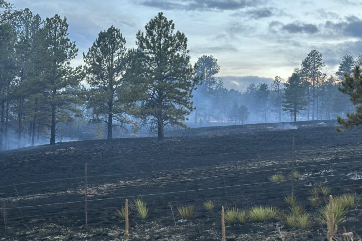 Turkey Track fire sparks on forest land in Douglas County near Sedalia