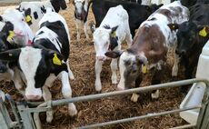 New nutrition technology eases farming pressures