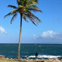 The Peace of the Sea, Gibara, Cuba - Photo of the Day - Havana Times
