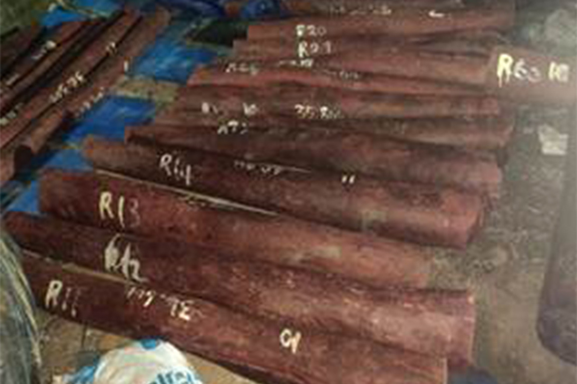DRI thwarts organised red sanders smuggling; seizes 15 MTs of red sanders worth Rs 6.26 crore at Chennai; four arrested