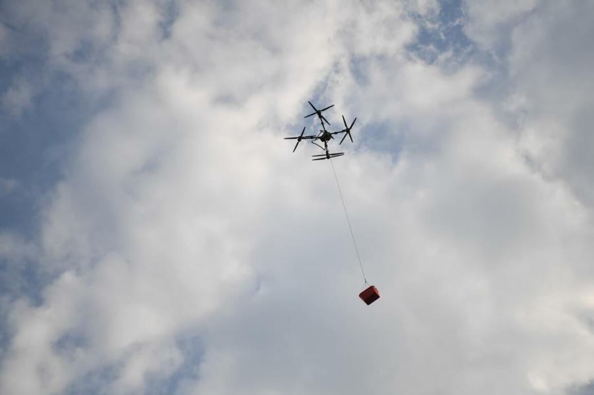 EconomyInFocus | Drone technology adopted in lychee delivery in south China's Guangdong