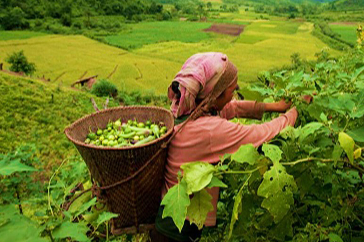 NEC Spends Rs 339.06 crore on development projects in Mizoram during 15th Finance Commission period