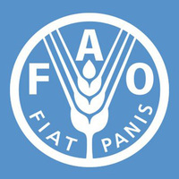 FAO Food Price Index edges up in July