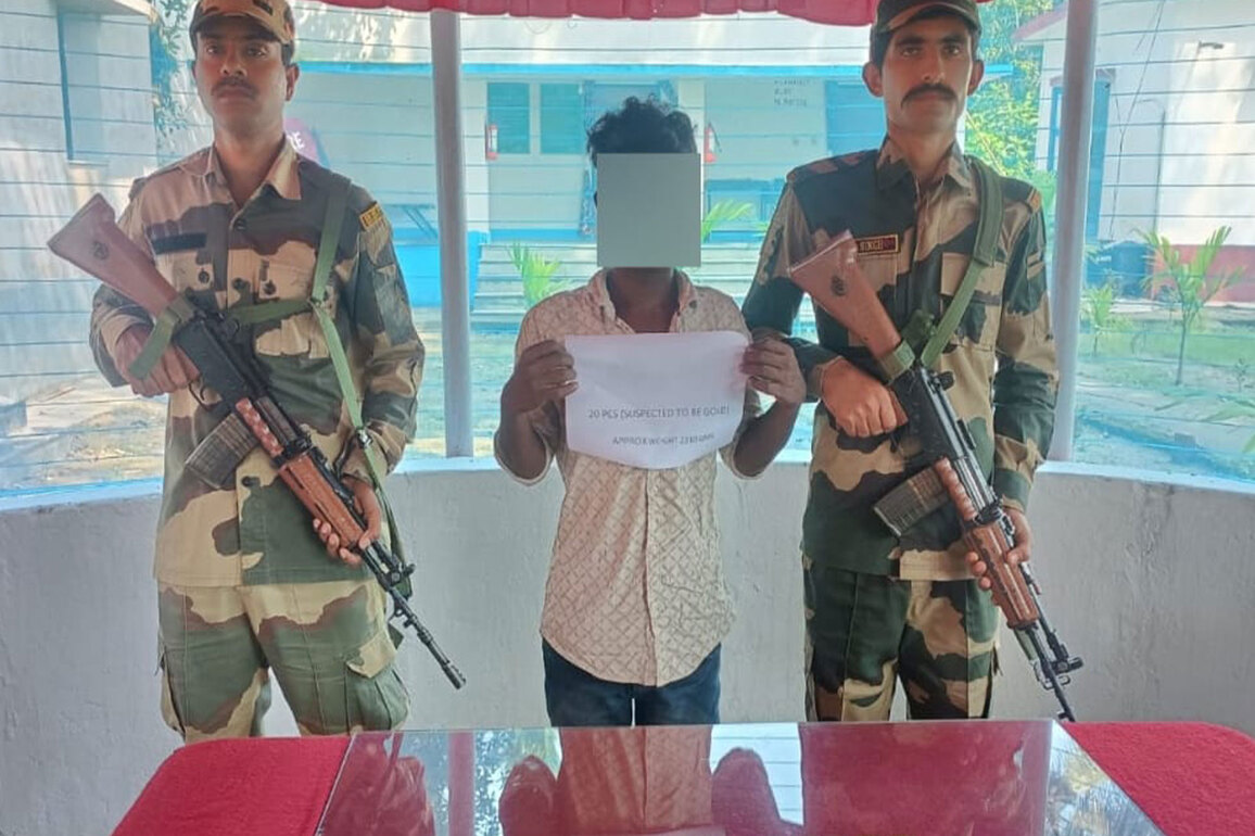 WB: BSF apprehends smuggler with gold biscuits worth Rs 2.82 crore on India-Bangladesh border
