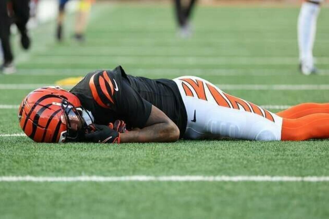 Bengals WR Tee Higgins (concussion) injured vs. Patriots