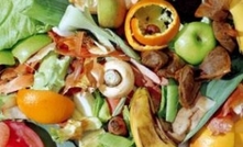 Billions could be fed if food wastage was curbed