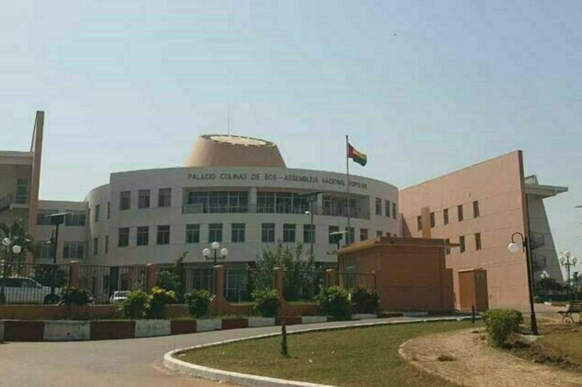 Crise politique en Guinee-Bissau : la democratie ou l'autoritarisme ?