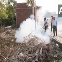 Punjab govt begins fogging in Ajnala, flood-hit areas to curb spread of dengue, malaria