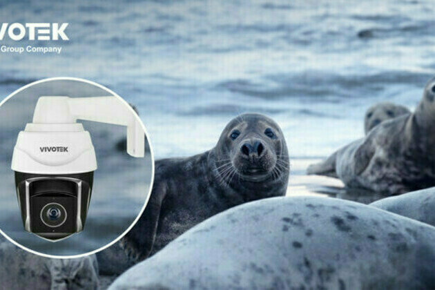 VIVOTEK's AI Security Solution Boosts Wildlife Conservation for Australian Government
