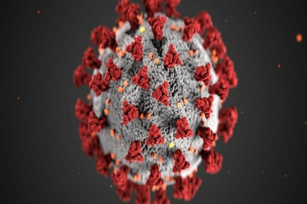 Study sheds light on the longevity of immune response to COVID-19