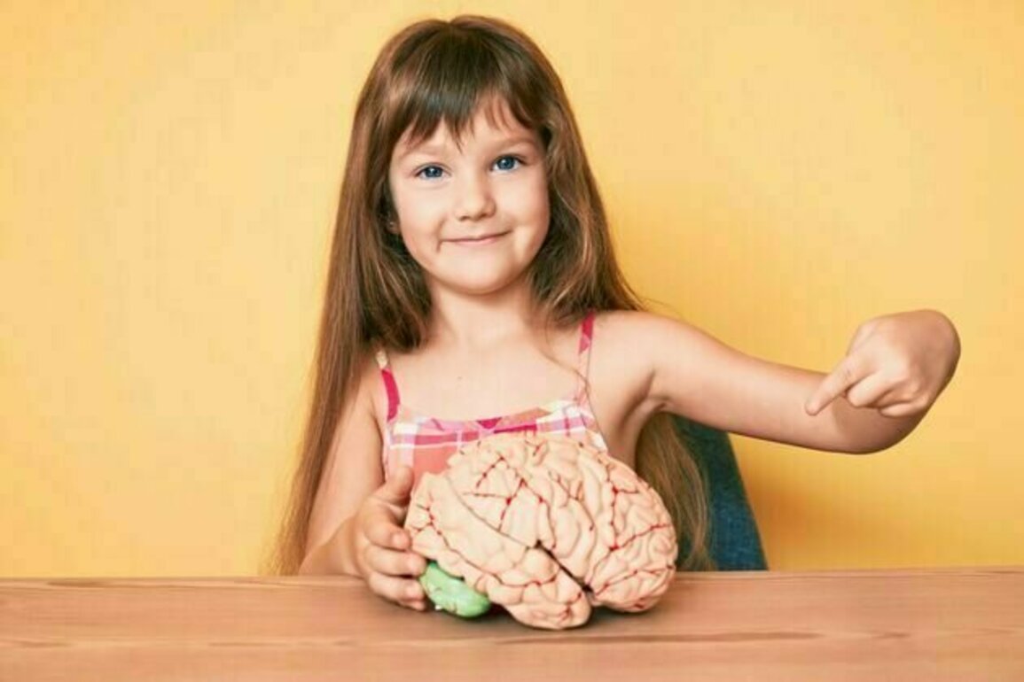 The roots of dementia can start in childhood - prevention should be a lifelong goal