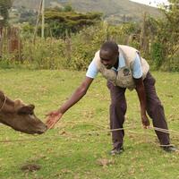 (Hello Africa) Guardians of Eburu: Kenyan community chronicles medicinal plants to protect forest