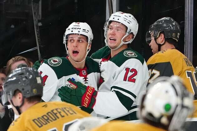 Trip off to solid start, Wild out to extend Ducks' skid