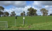 A network of soil moisture probes in Victoria will help pasture production. Picture courtesy Agriculture Victoria.