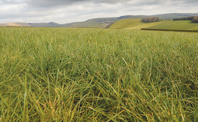 DAIRY SPECIAL: Impact of perennial rye-grass deterioration