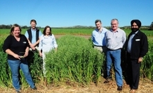 Durack oats a potential game-changer