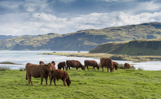 Scottish red meat sector set for £350m growth by 2032