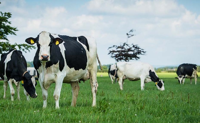 GDT increase does not mean dairy has turned a corner