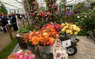 RHS Chelsea honours flower farmers