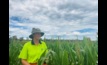  Gippsland Seed Services production manager Marni Riordan has found fall armyworm in Victoria. Image courtesy Gippsland Seed Services.