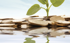 COP15: Nature Action 100 initiative launches in bid to ramp up nature-positive investor engagment