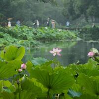 Update: Hangzhou to host 5th World Congress of Biosphere Reserves this month