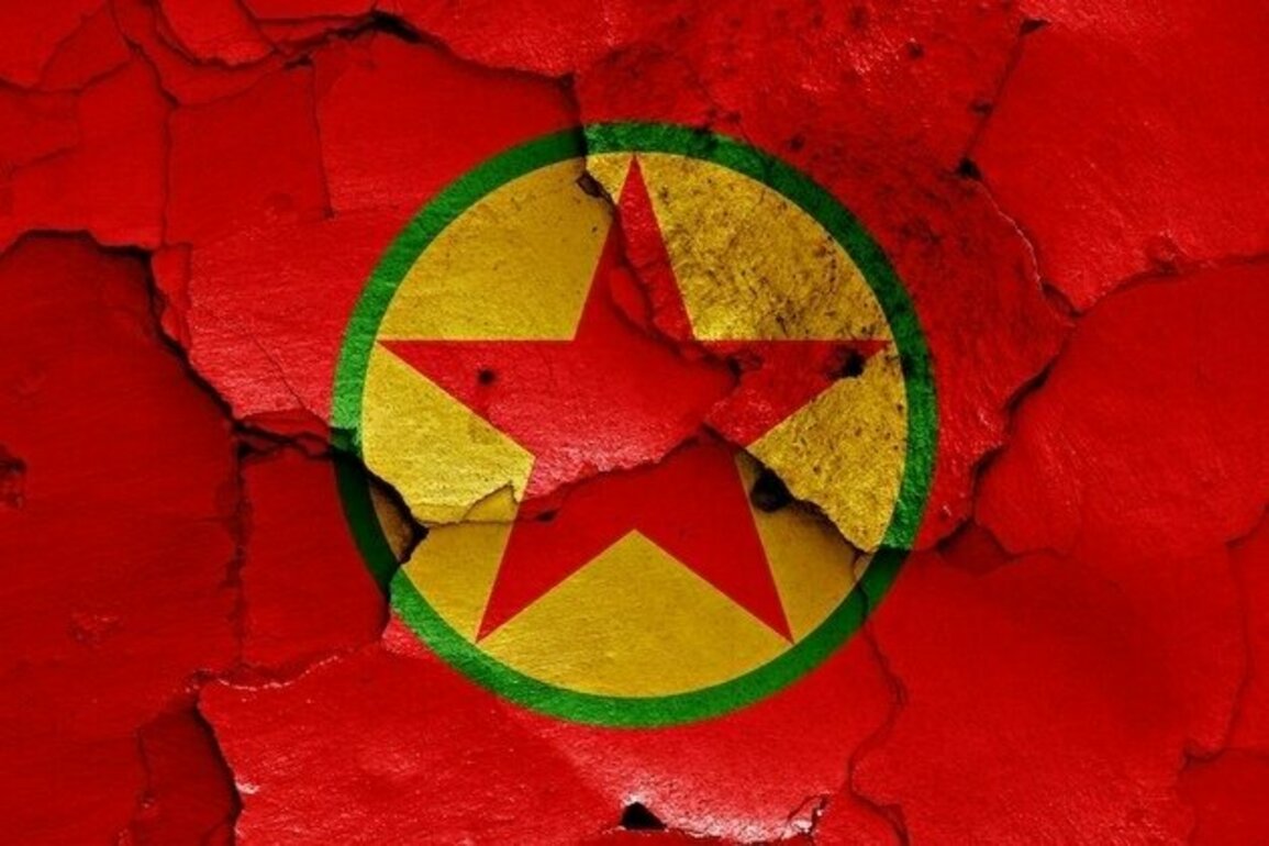 Opinion  A Precarious Peace in Trkiye