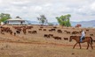 WA graziers annual event to be held soon